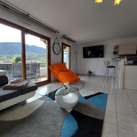 Au Coeur De St Jorioz, Spacieux Appartement Avec Terrasse Et Vue Montagne. Saint-Jorioz Buitenkant foto
